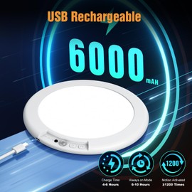 Ktpugorn 2 Pack Rechargeable Motion Sensor Closet Light, Wireless Ceiling Light Battery Operated Shower Light with Remote, Magnetic Dimmable Timing Motion Sensor Light for Shower Closet Bathroom