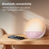 Odokee Sunrise Alarm Clock White Noise Machine: Natural Wake Up