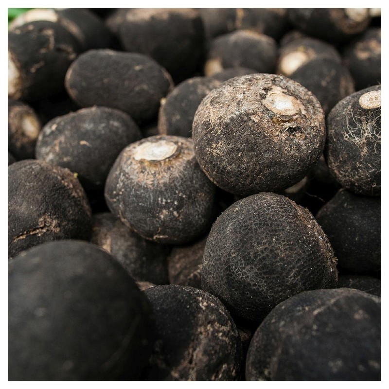 Everwilde Farms - 1/4 Lb Organic Black Spanish Round Radish