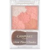 CANMAKE Glow Fleur Cheeks Blush PICK SHADES 02 & 15