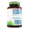 Suplemento Cápsulas Vidanat Vitamina Minerales Vitaminas Frasco 100g