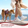 Animire Service Dog Vest Harness and Leash Set, Animire in