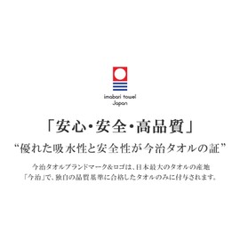 Imabari Towel, Earth Color, Handkerchief Towel, 7.9 x 7.9 inches (20 x 20 cm), Highly Absorbent, Quick Drying, Gentle, Gift, Soft, Fluffy, Charcoal, Set of 4