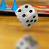 Backgammon Dice Set - Family Night Board Game Dice Combo
