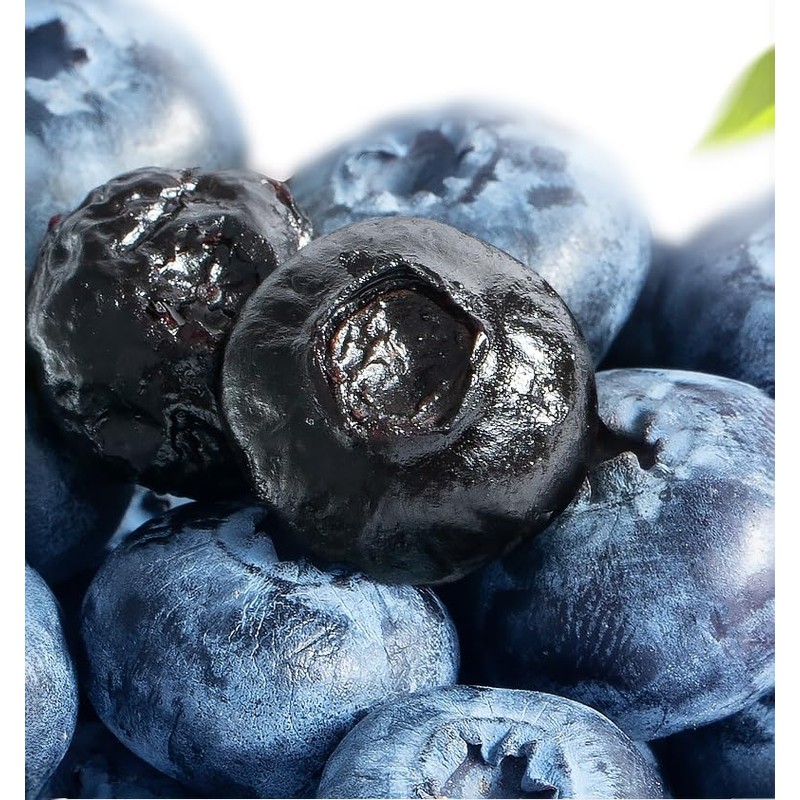 SYZJMWDY Wild Dried Blueberries, Unsweetened 7.05oz (200g) - All Natural