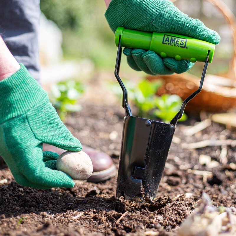 AMES Hand Bulb Planter - Carbon Steel