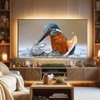 Dreamscreens - Convert Your TV into a Virtual Photo Gallery