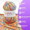 YINVA Wool for Crocheting, Crochet Wool, 10 x 25 g,