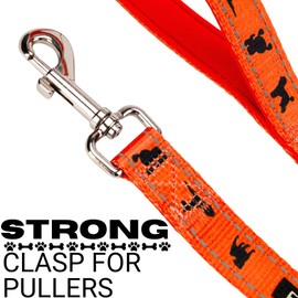 EcoBark Dog Leash - Soft & Reflective Comfort Leashes with Padded Handle - Safe, Strong, & Durable for Small, Medium or Large Dogs (Orange)