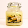 A Cheerful Giver - Lemon Meringue - 16oz Medium Scented