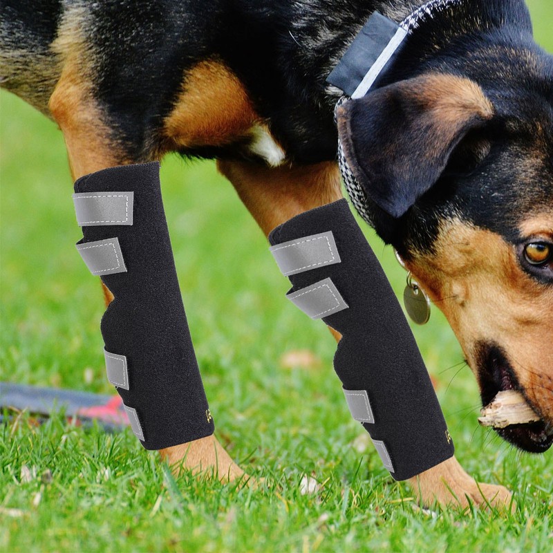 2Pcs Dog Rear Legs Braces Hock Sleeves Joint Wraps for