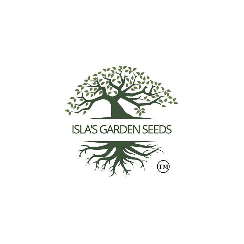 Wando Garden Pea Seeds, 50 Heirloom Seeds Per Packet, Non