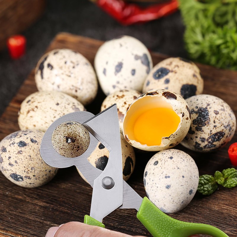Dokeno Quail Egg Scissors 6 Pieces, Stainless Steel Quail Egg