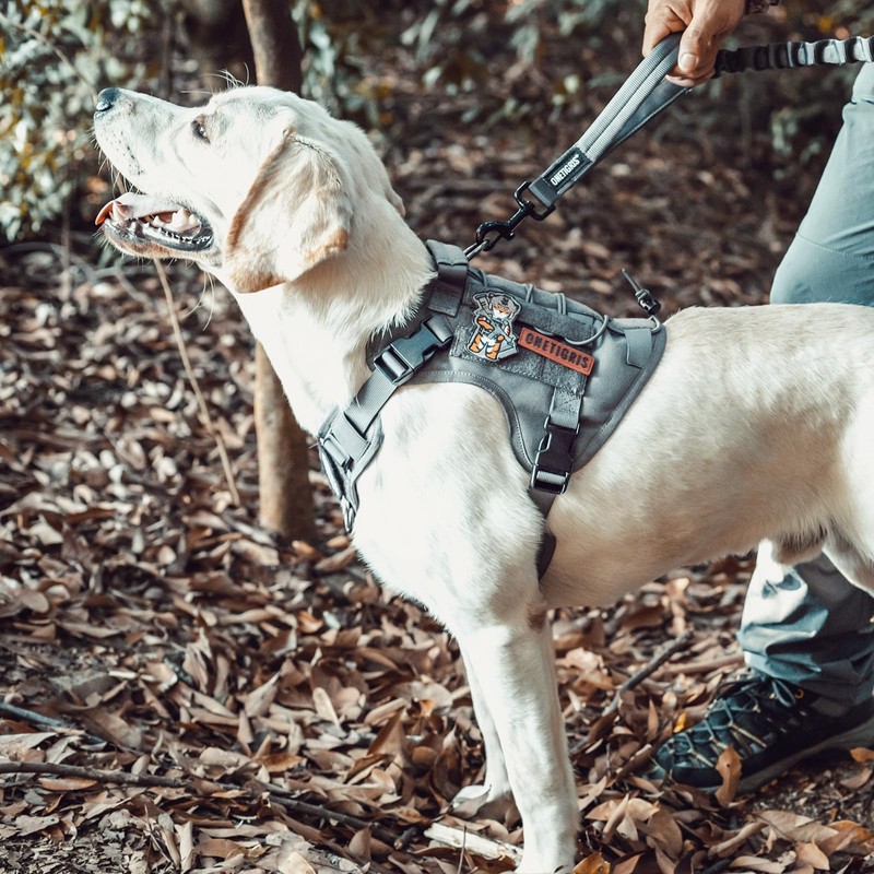 OneTigris Dog Harness, Breathable, Easy to Put on and Take