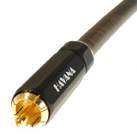 FISUAL Havana XL Subwoofer Cable - 1m