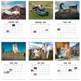 Giant Cats Calendar 2025, Giant City Cat Calendar 2025, Giant Cats Calendar 2025 Rest in Beautiful Places, Giant City Cats Calendar Funny Wall Calendar