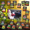 Meine Orangerie - Seeds Advent Calendar 2024 - 24 Surprises