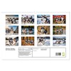 Siberian Huskies - die Extremsportler (Wandkalender 2025 DIN A3 quer),