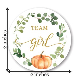 Greenery Pumpkin Gender Reveal Stickers - 40 Labels (20 of Each Design)
