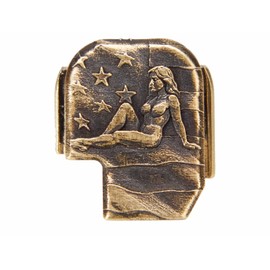 NDZ Performance 3D Engraved Slide Cover Back Plate for Sig P365 P365X P365 XL P365 X Macro P365 Fuse in 9mm .380, Solid Brass Construction, P365 Accessories - Lady Patriot