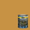 Rodda Paint CASCADIA XL Exterior Velvet Paint & Primer in