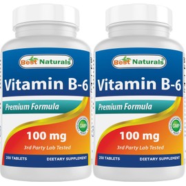 Best Naturals Vitamin B-6 100 mg 250 Tablets (Pack of 2)