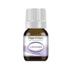 Essential Oil Variety Set Kit - 6 Pack - 100%