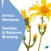 Remedy Gel with Arnica, Helps Improve The Appearance of Bruises