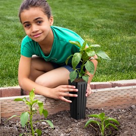 50Pcs Tall Tree Pots,Plastic Deep Nursery Treepots,Tall Flower Plant Container Pots for Indoor Outdoor