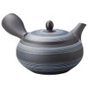 Tetera japonesa Kyusu tokoname hecha a mano de arcilla 8.7