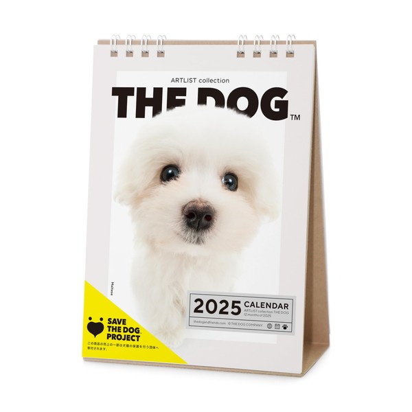 [ArtlistCollectionTHE DOG] Desktop Calendar ≪Maltese≫ 2025-7.1" x 5.1"