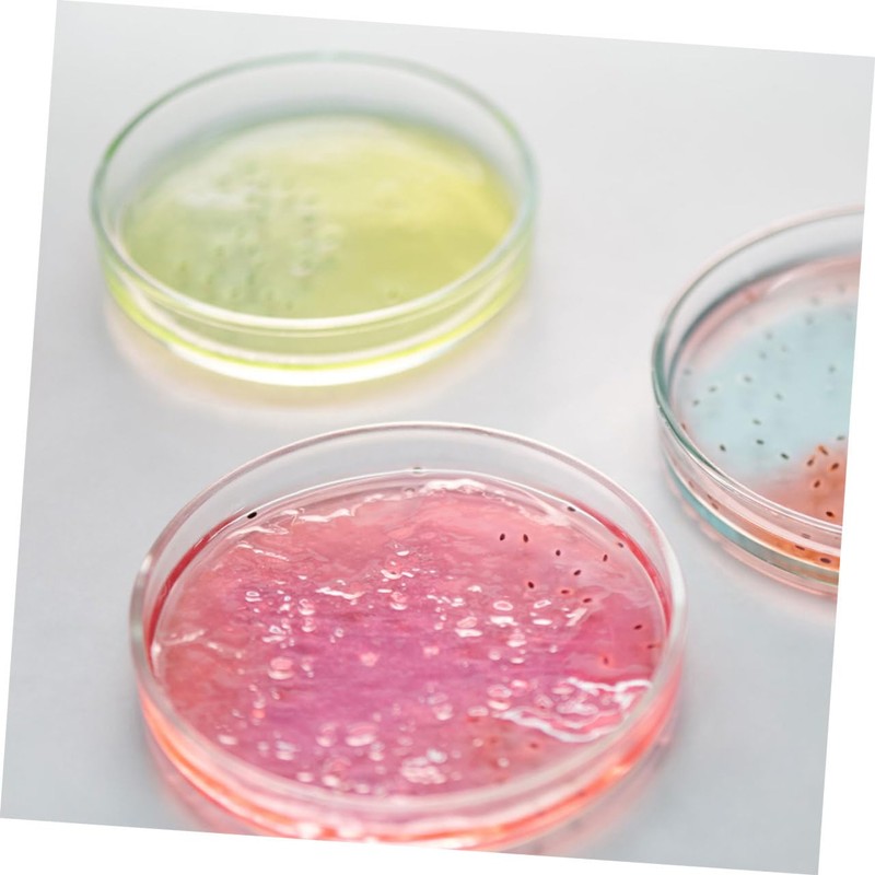 ULTECHNOVO 75mm Glass Petri Dish Lid Lab Science Experiment Plate