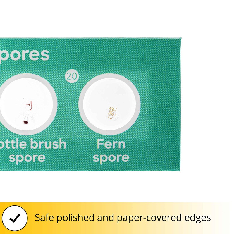 DISCOVERY Flora 12 Prepared Microscope Slides Set for Kids with