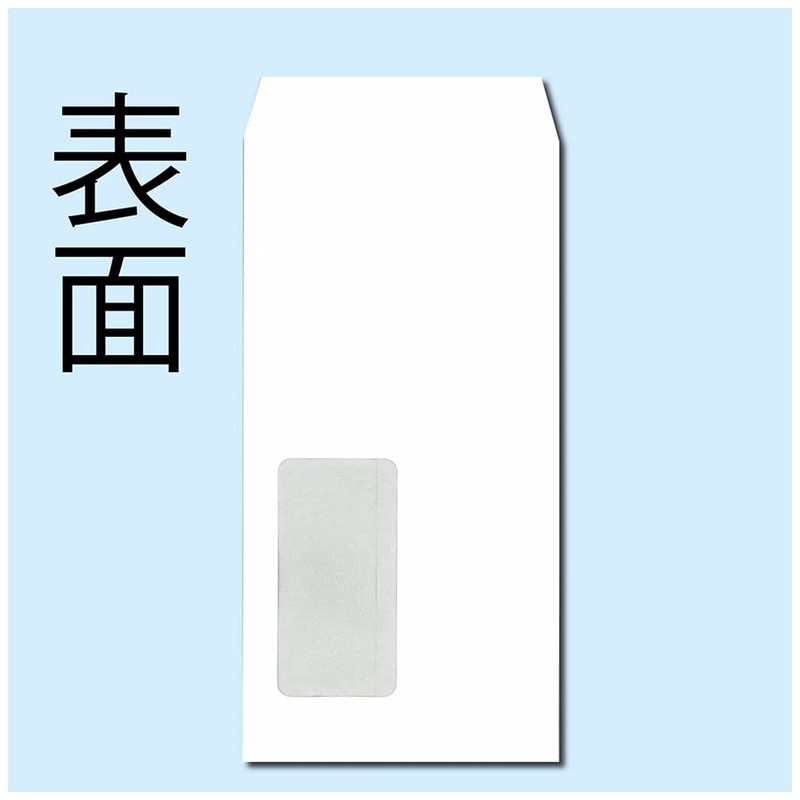 King Corporation N3MPB80 Envelopes, Privacy Protection, Window Statement, Oblong No.