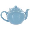 Amsterdam 2 Cup Infuser Teapot Vivian Teal