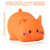 Cat Paw Squishy (Orange)