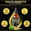 Penhoment 8in1 2900mg Oil of Oregano Drops with Black Seed