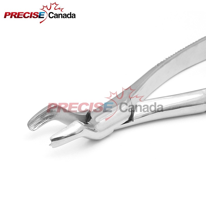 PC EXTRACTING Forceps # 53L Dental Instruments