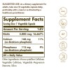 Solgar Biotina 5000mcg 100caps Neutro