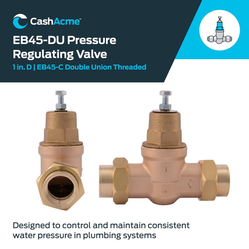 Cash Acme EB45 Pressure Regulating Valve, Double Union, 1 Inch