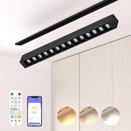 Hengsense Grille Spotlight Magnetic Track Head, 24V 15W Dimmable LED Lamp for Track Lighting with APP & Remote Control, Adjustable Brightness & Color Temperature (3000K-6000K), LED Ceiling Lighting