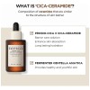 Bw Skin1004 Probio Cica Kit Antiedadantiarrugasreafirmante