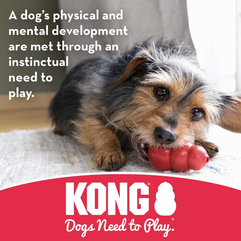 KONG - Goodie Bone - Durable Rubber Chew Bone, Treat