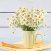 Crave Beverages Tea Pods, Chamomile for Keurig K Cup Brewers,