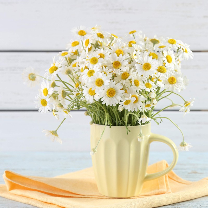 Crave Beverages Tea Pods, Chamomile for Keurig K Cup Brewers,