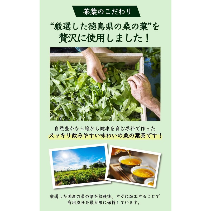 Natural Feast Mulberry Leaf Tea, Made in Japan, Tokushima Prefecture,