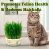 Environet Cat Grass Kit for Indoor Cat, Organic Grass Growing
