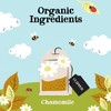(12 PACK) - Clipper - Organic Chamomile | 20 Bag