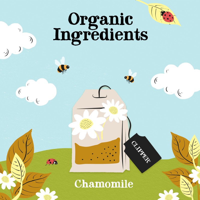 (12 PACK) - Clipper - Organic Chamomile | 20 Bag