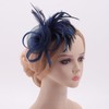 DRESHOW Fascinator Hats for Women Pillbox Hat with Veil Headband